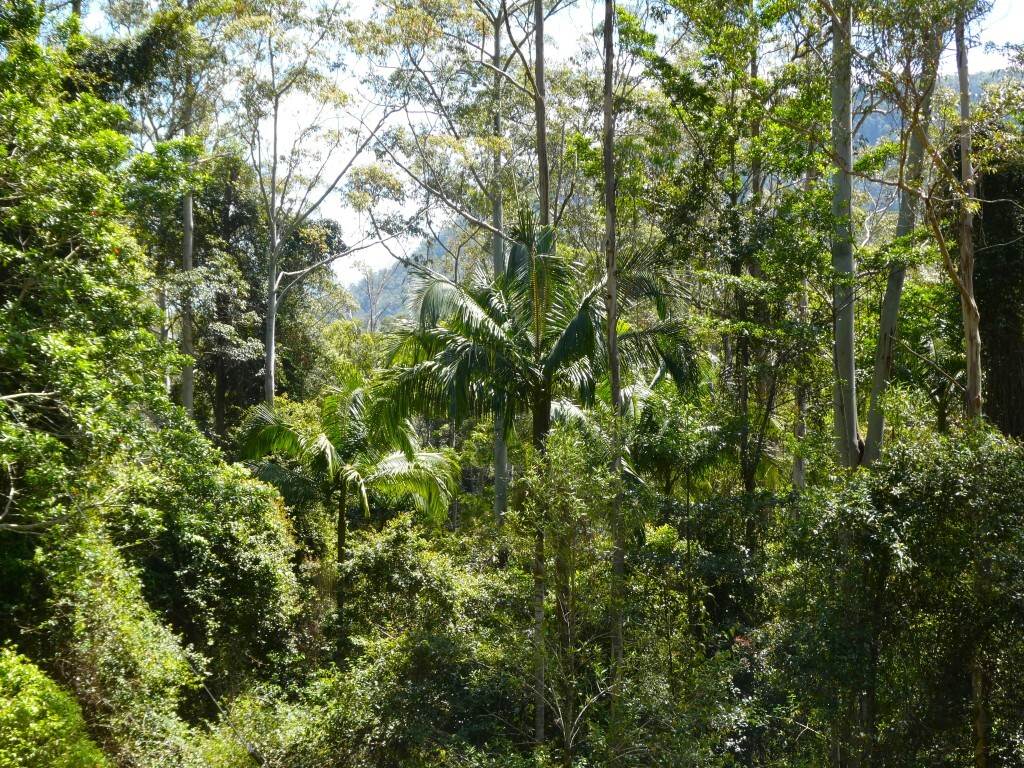 Lot 7/422 Main Creek Road, Kyogle For Sale by Farmbuy.com - image 19