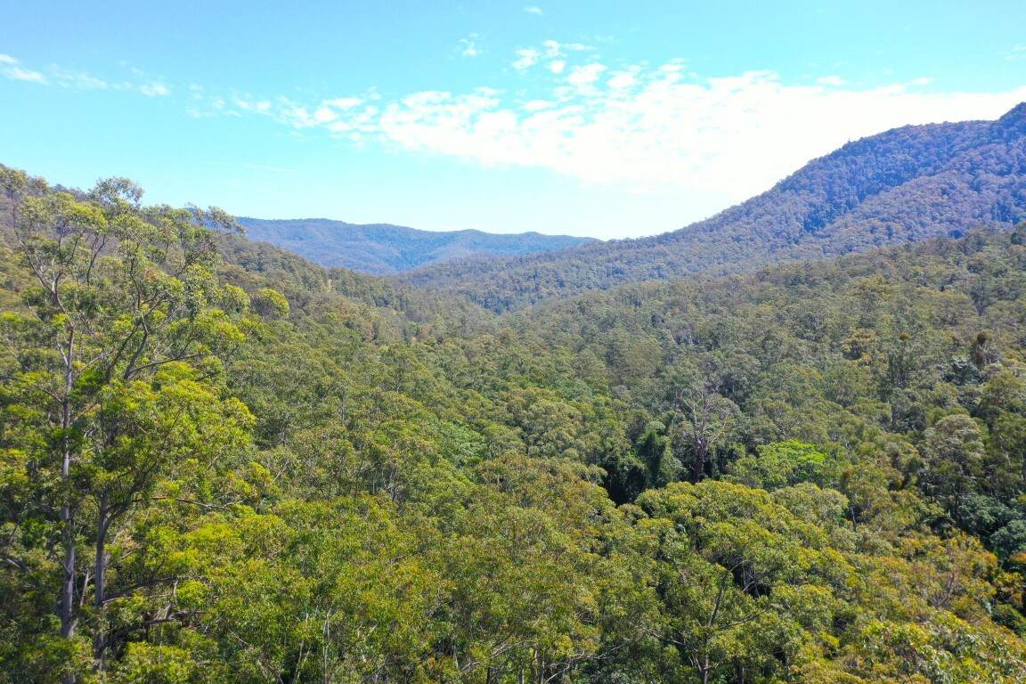 Lot 7/422 Main Creek Road, Kyogle For Sale by Farmbuy.com - image 15