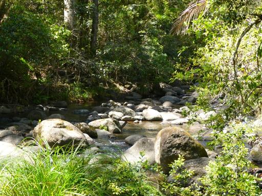 Farm For Sale - NSW - Kyogle - 2474 - PRISTINE CREEK & NATIONAL PARKS FRONTAGE 