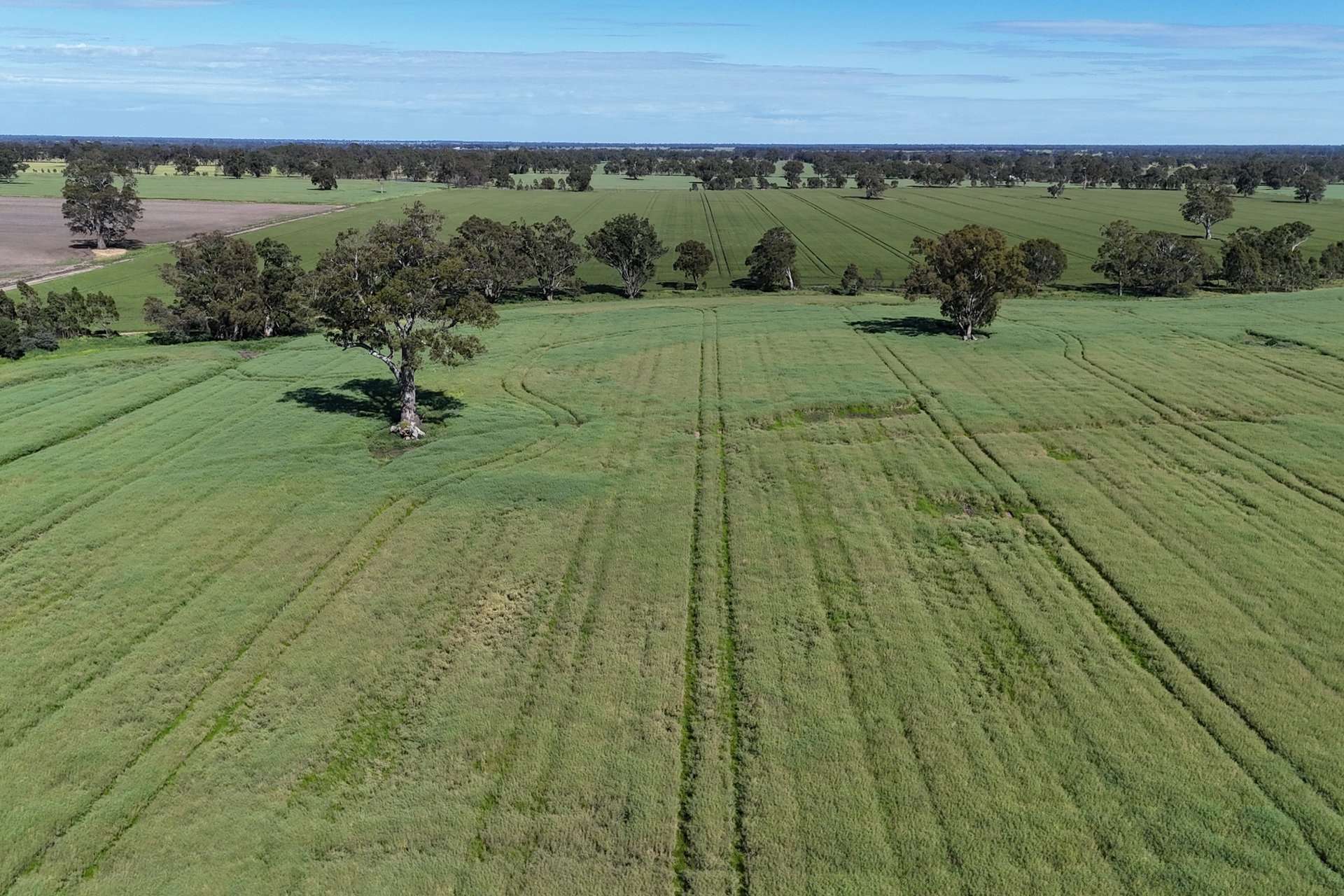276 Dunstans Road, Telangatuk East For Sale by Farmbuy.com - image 16