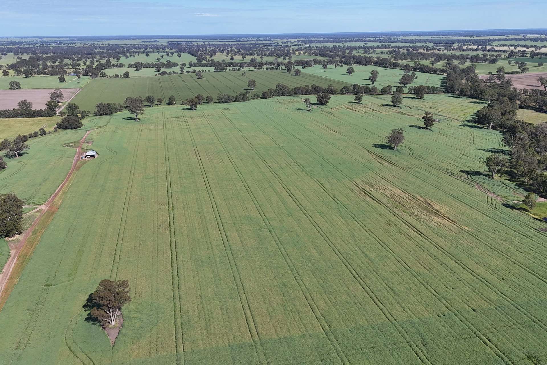 276 Dunstans Road, Telangatuk East For Sale by Farmbuy.com - image 20