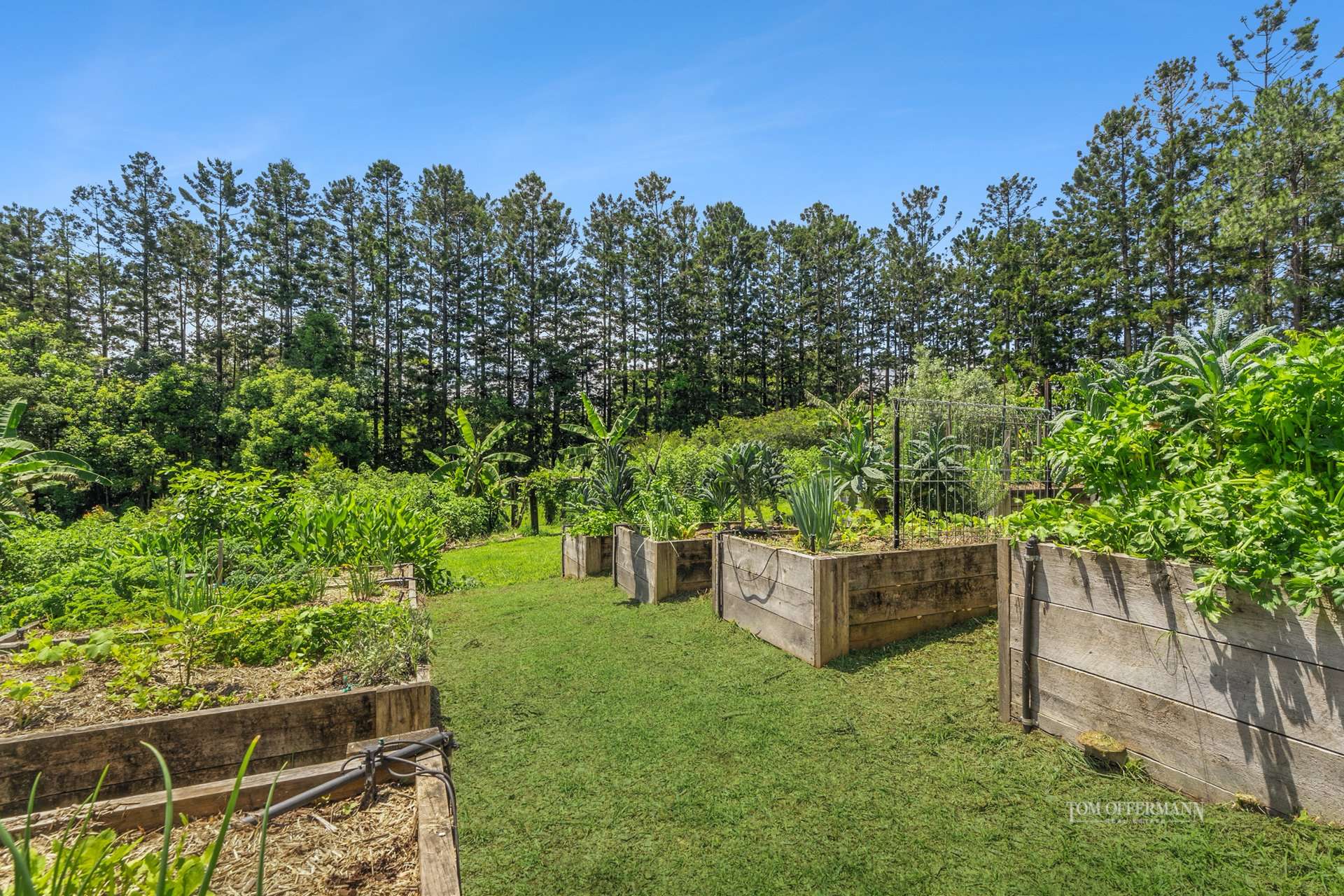 24 Solar Road, Eumundi For Sale by Farmbuy.com - image 18