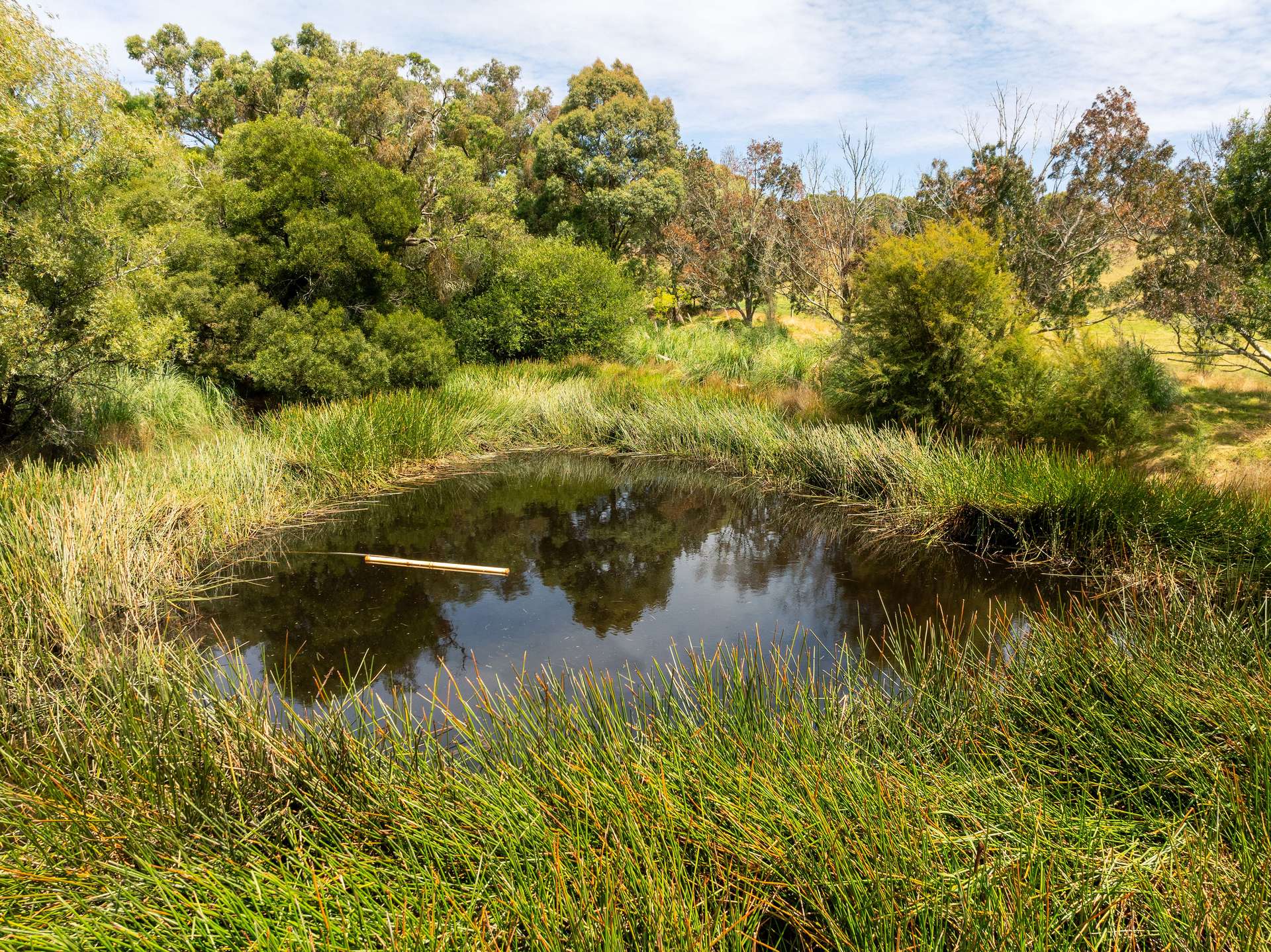 365 Beenak Road, Yellingbo For Sale by Farmbuy.com - image 11
