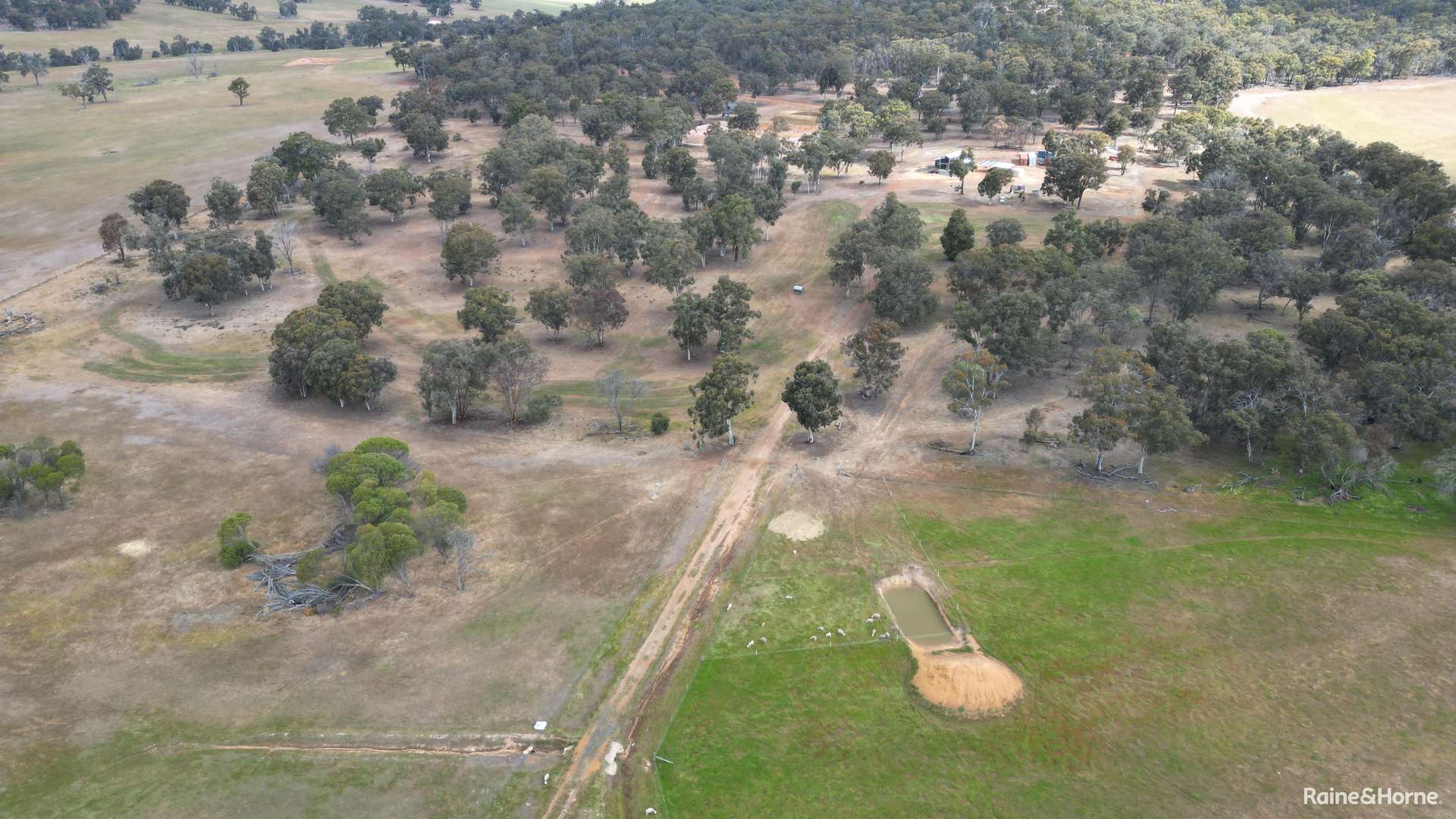Lot 5276 Old Collie Road, Mokup For Sale by Farmbuy.com - image 2
