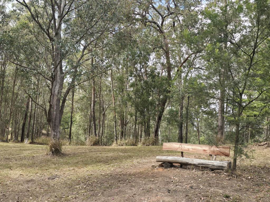 Lot 206 Anduramba Road, Crows Nest For Sale by Farmbuy.com - image 8