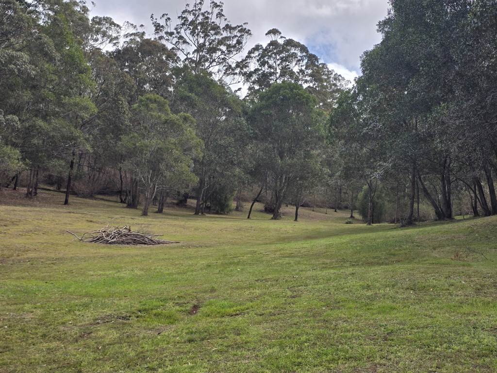 Lot 206 Anduramba Road, Crows Nest For Sale by Farmbuy.com - image 3