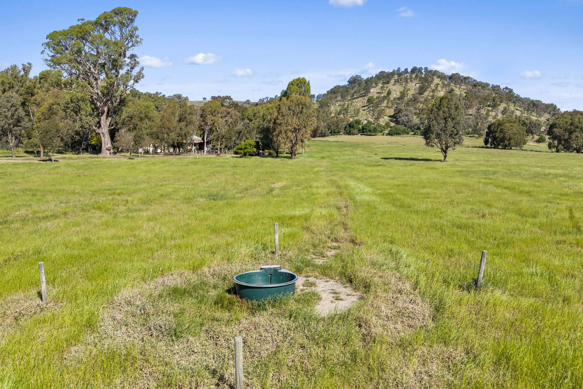 342 Sheans Creek Road, Sheans Creek For Sale by Farmbuy.com - image 29