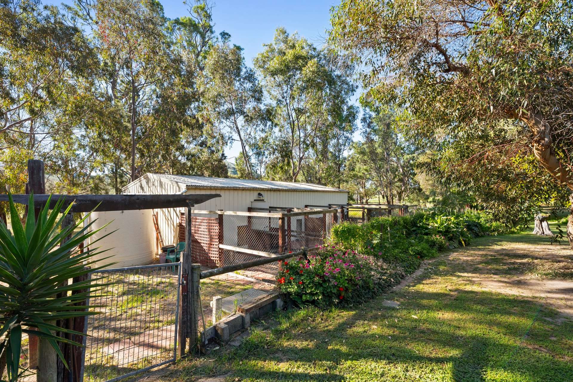 342 Sheans Creek Road, Sheans Creek For Sale by Farmbuy.com - image 21