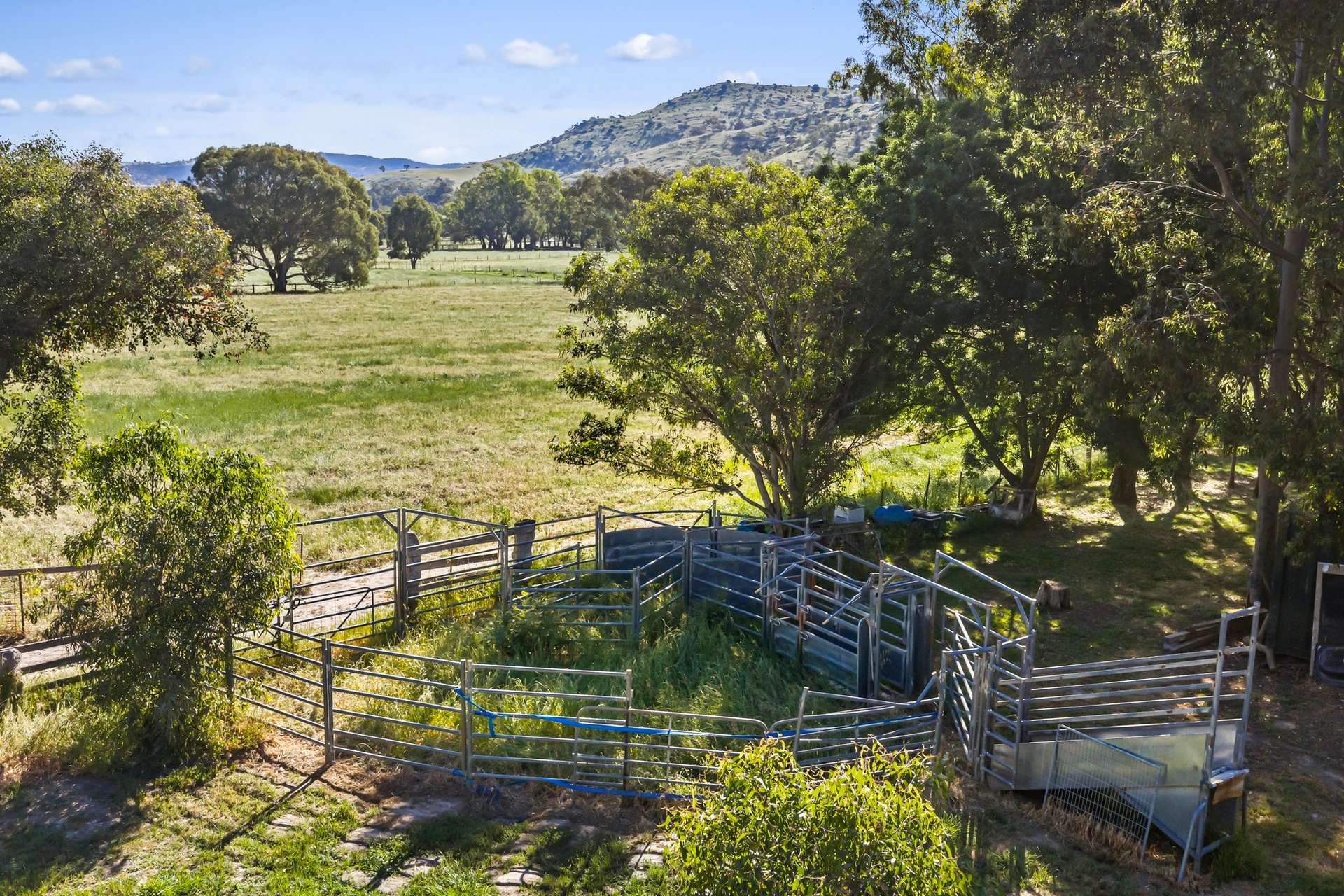 342 Sheans Creek Road, Sheans Creek For Sale by Farmbuy.com - image 22