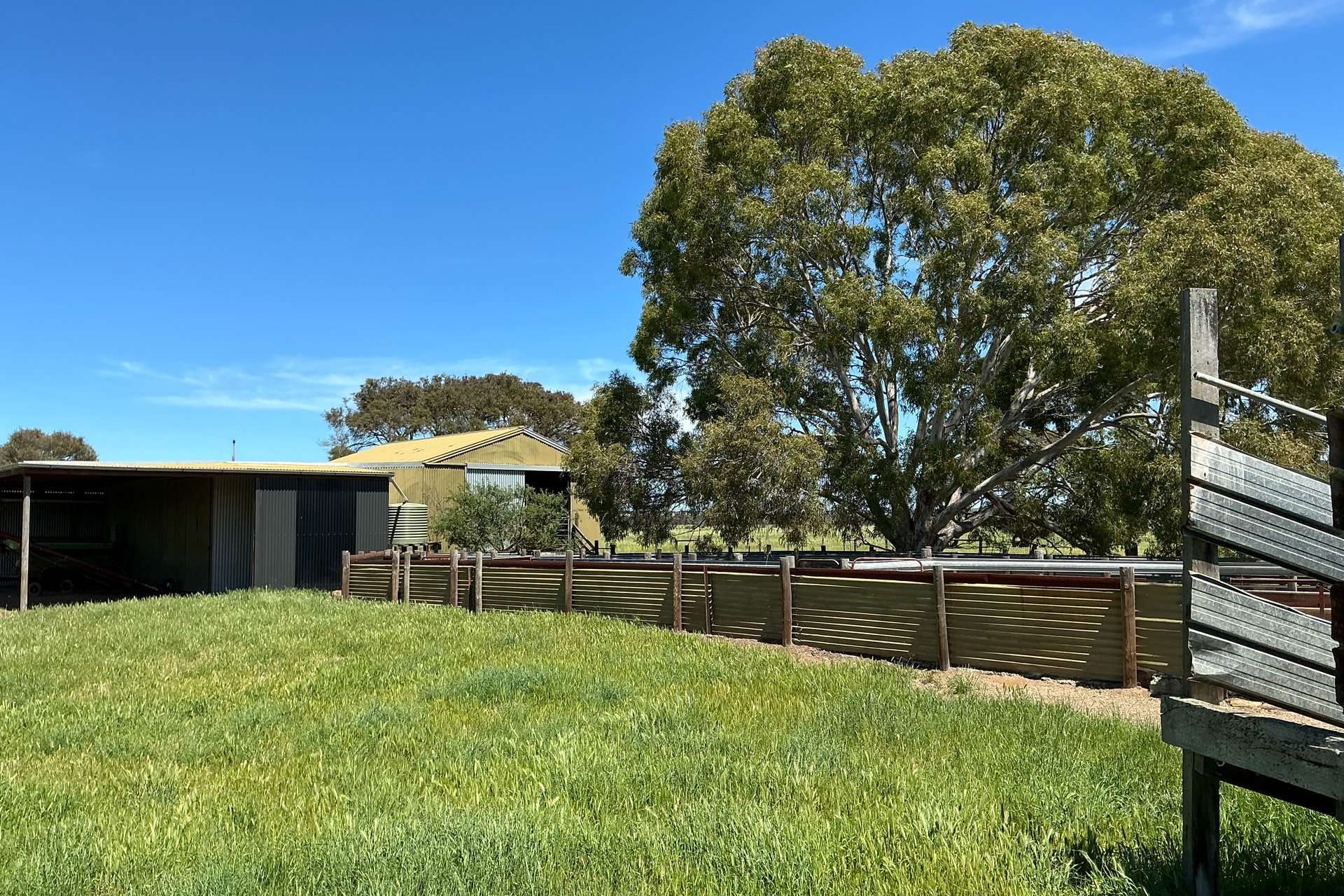 340 & 464 Birchmore Road, Birchmore For Sale by Farmbuy.com - image 35
