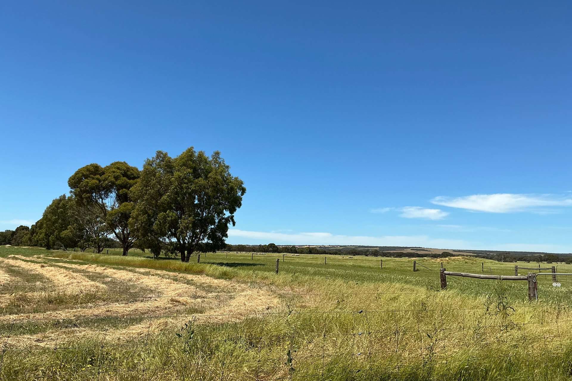 340 & 464 Birchmore Road, Birchmore For Sale by Farmbuy.com - image 30