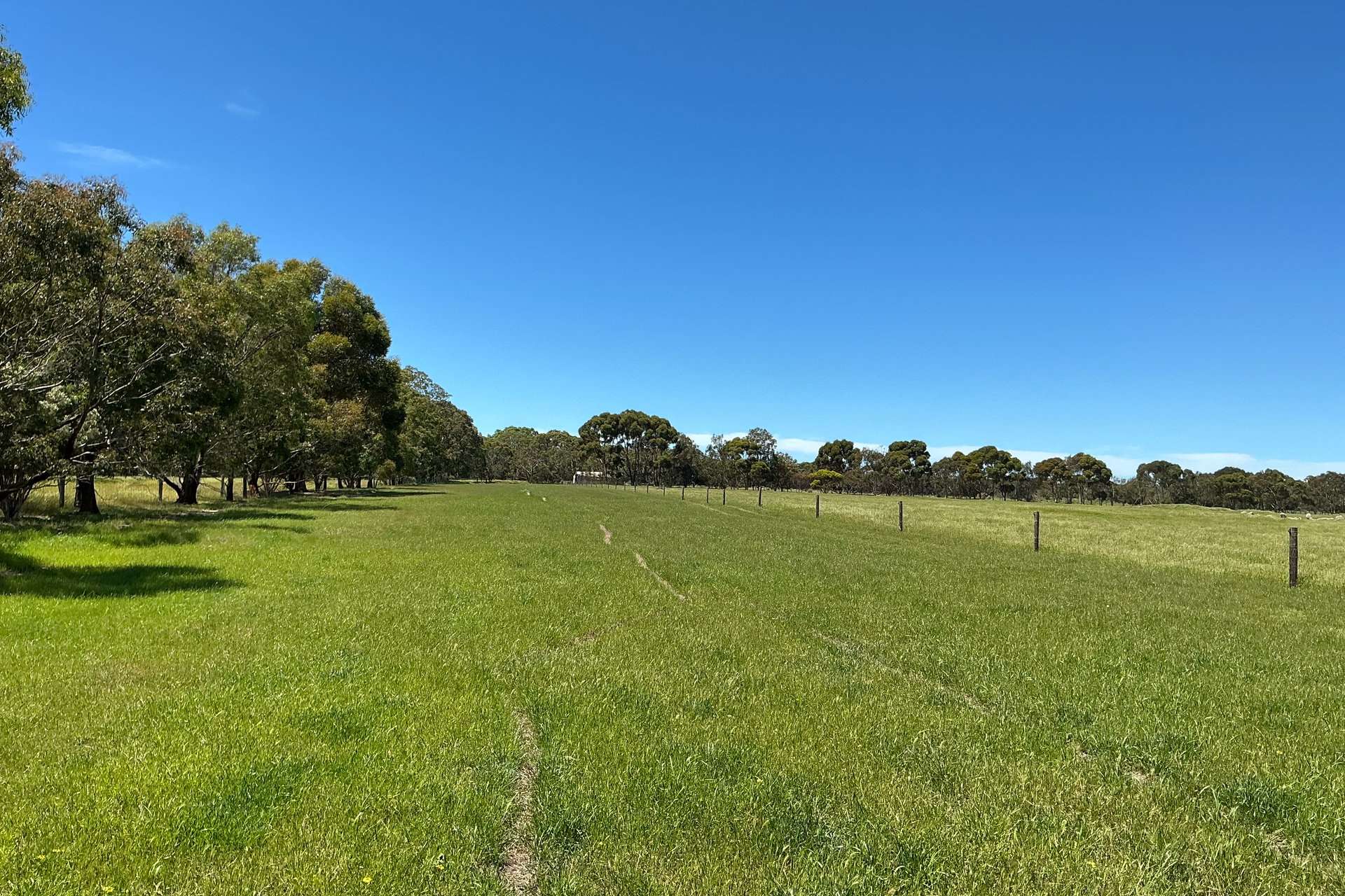 340 & 464 Birchmore Road, Birchmore For Sale by Farmbuy.com - image 32