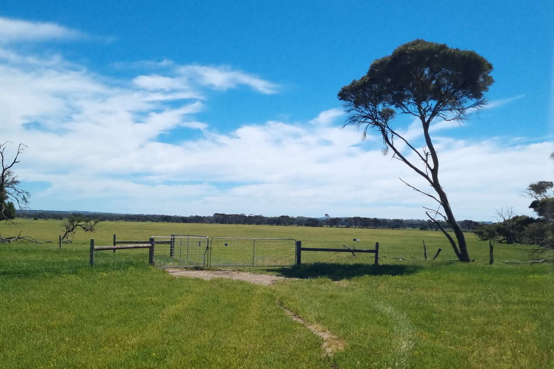 340 & 464 Birchmore Road, Birchmore For Sale by Farmbuy.com - image 11