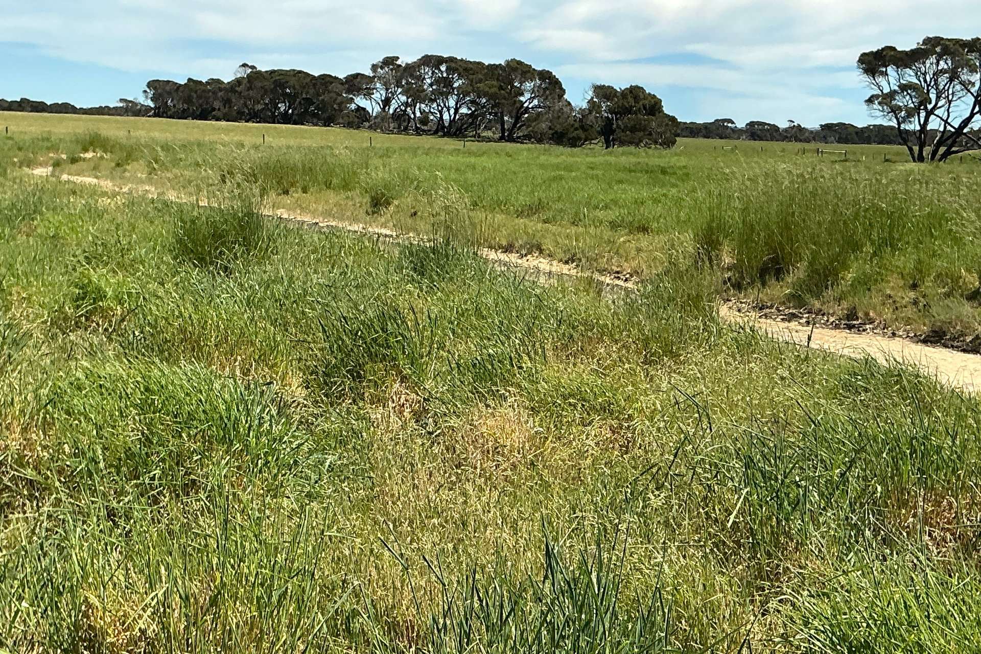 340 & 464 Birchmore Road, Birchmore For Sale by Farmbuy.com - image 27