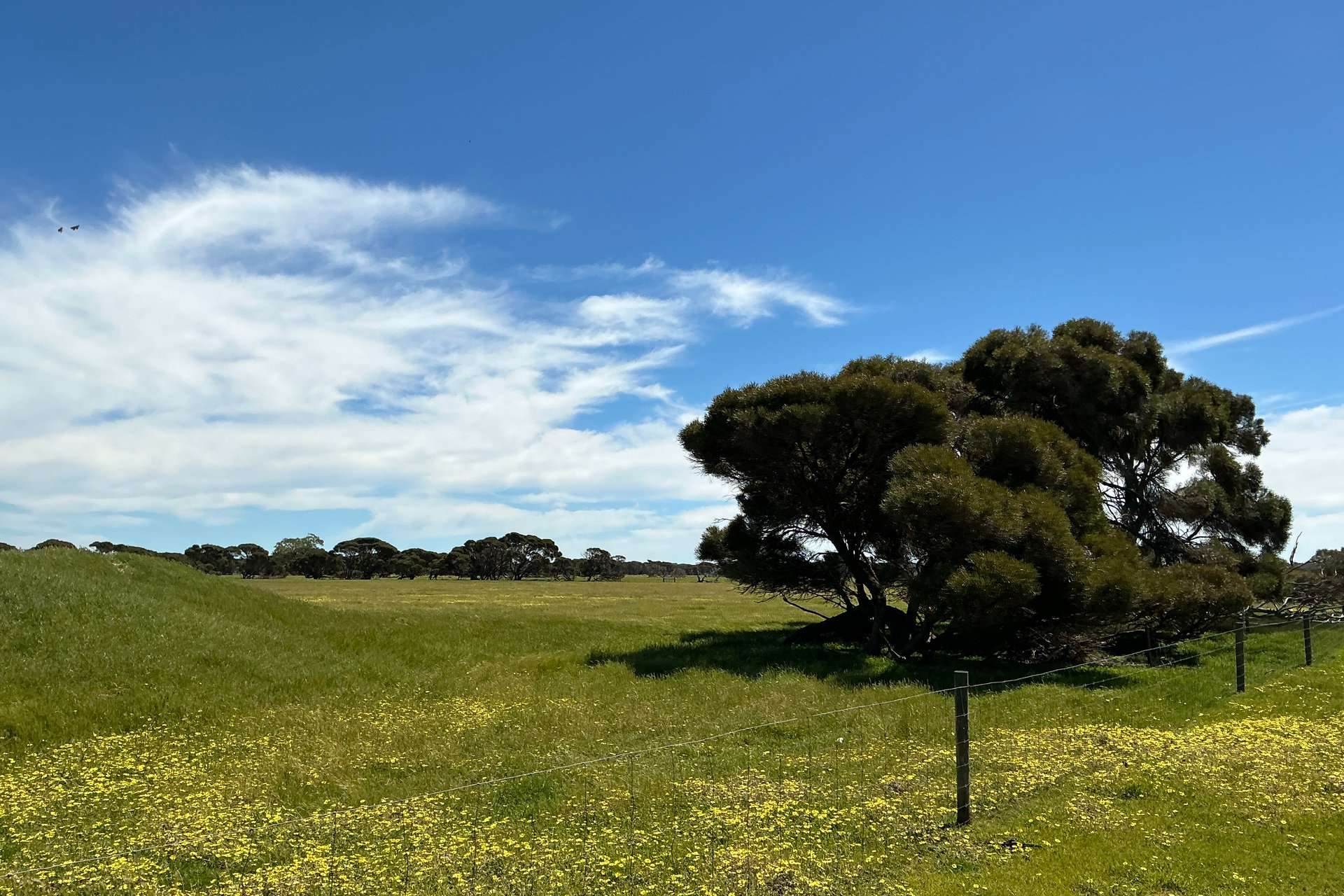 340 & 464 Birchmore Road, Birchmore For Sale by Farmbuy.com - image 23