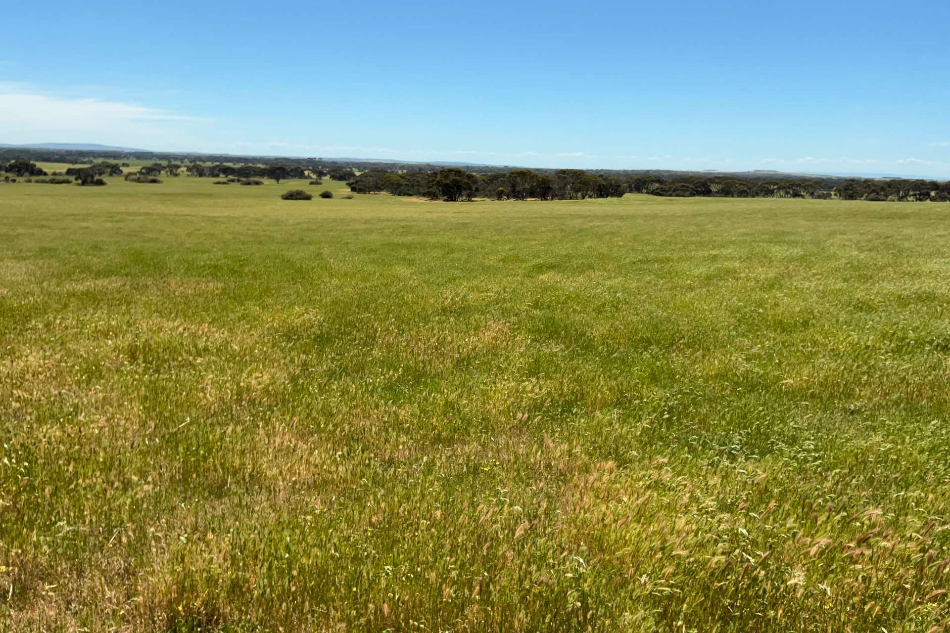 340 & 464 Birchmore Road, Birchmore For Sale by Farmbuy.com - image 20
