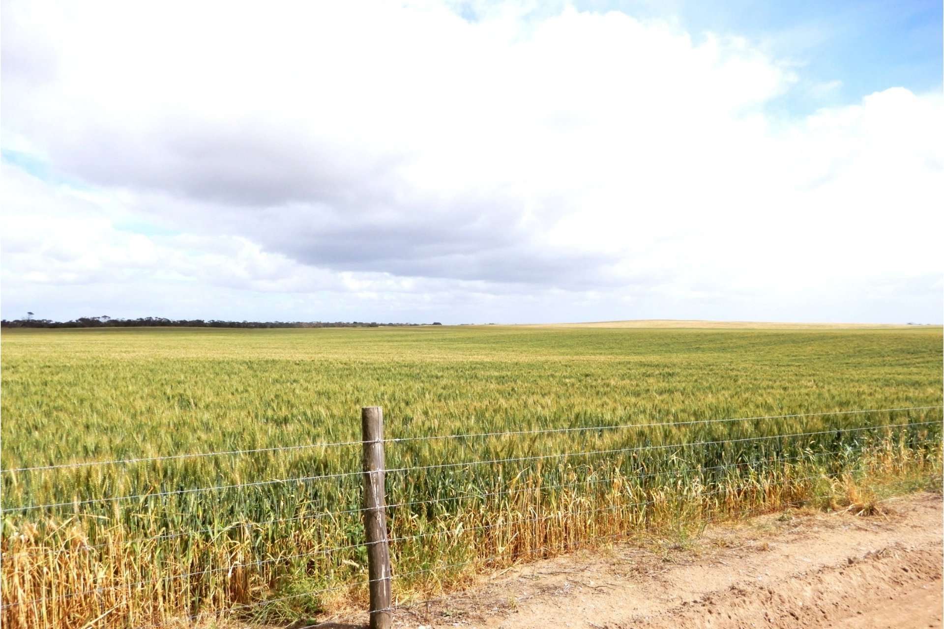 2473 Dukes Highway, Coomandook For Sale by Farmbuy.com - image 2