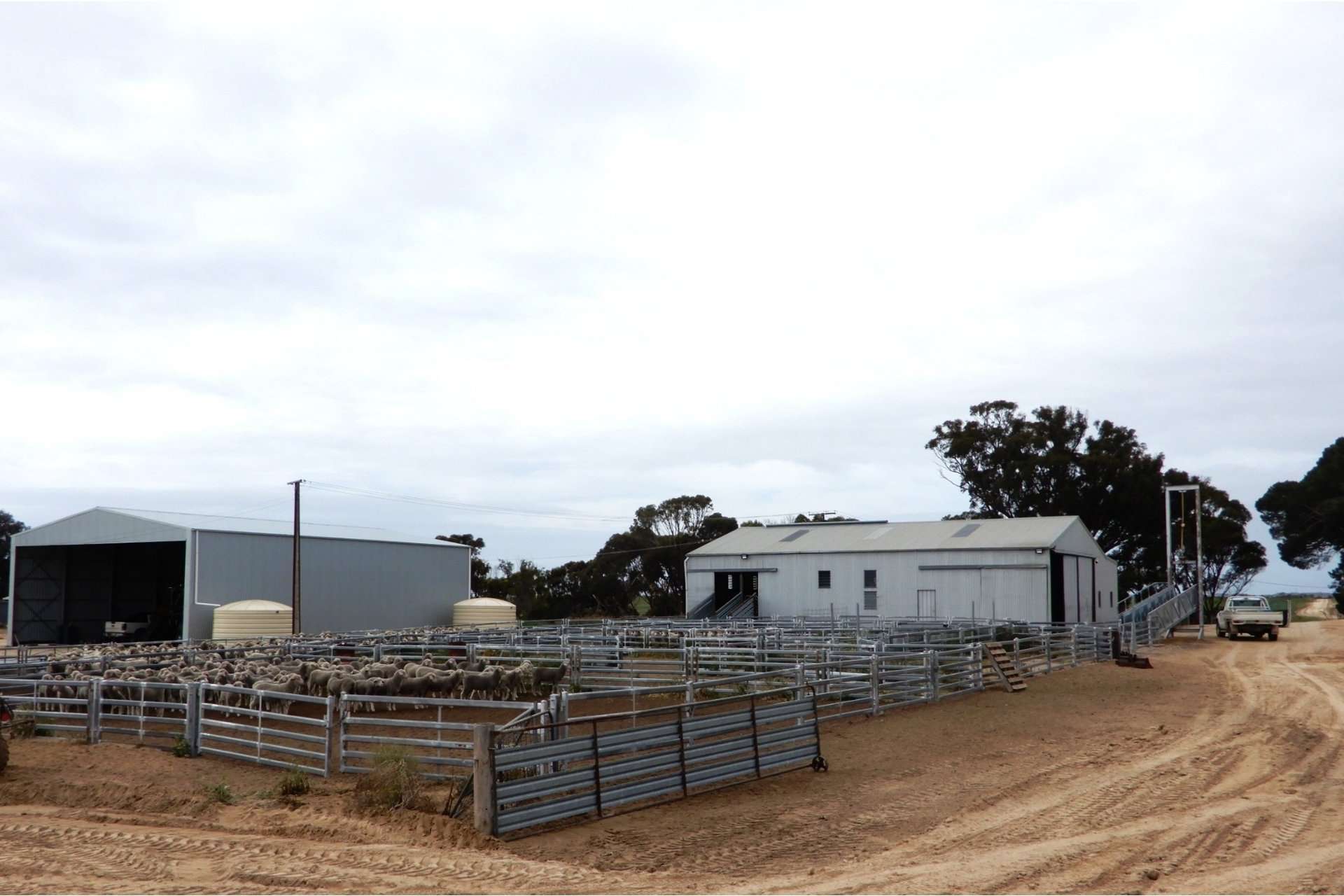 2473 Dukes Highway, Coomandook For Sale by Farmbuy.com - image 13