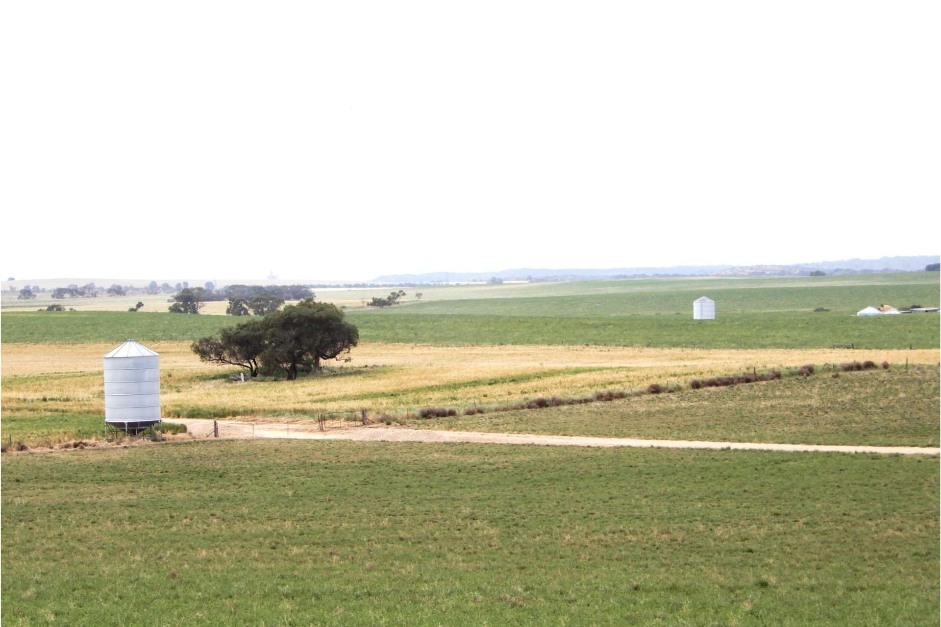 2473 Dukes Highway, Coomandook For Sale by Farmbuy.com - image 3