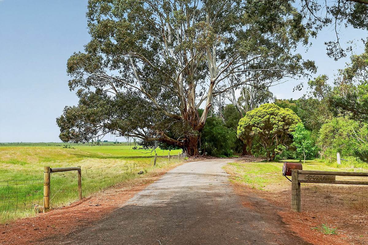 'Moorilah' 318 Jelbarts Road, Gerrigerrup For Sale by Farmbuy.com - image 30