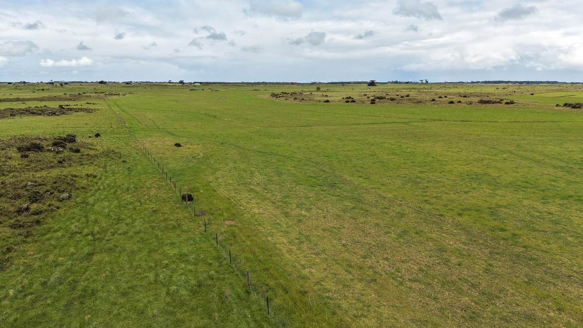'Moorilah' 318 Jelbarts Road, Gerrigerrup For Sale by Farmbuy.com - image 18