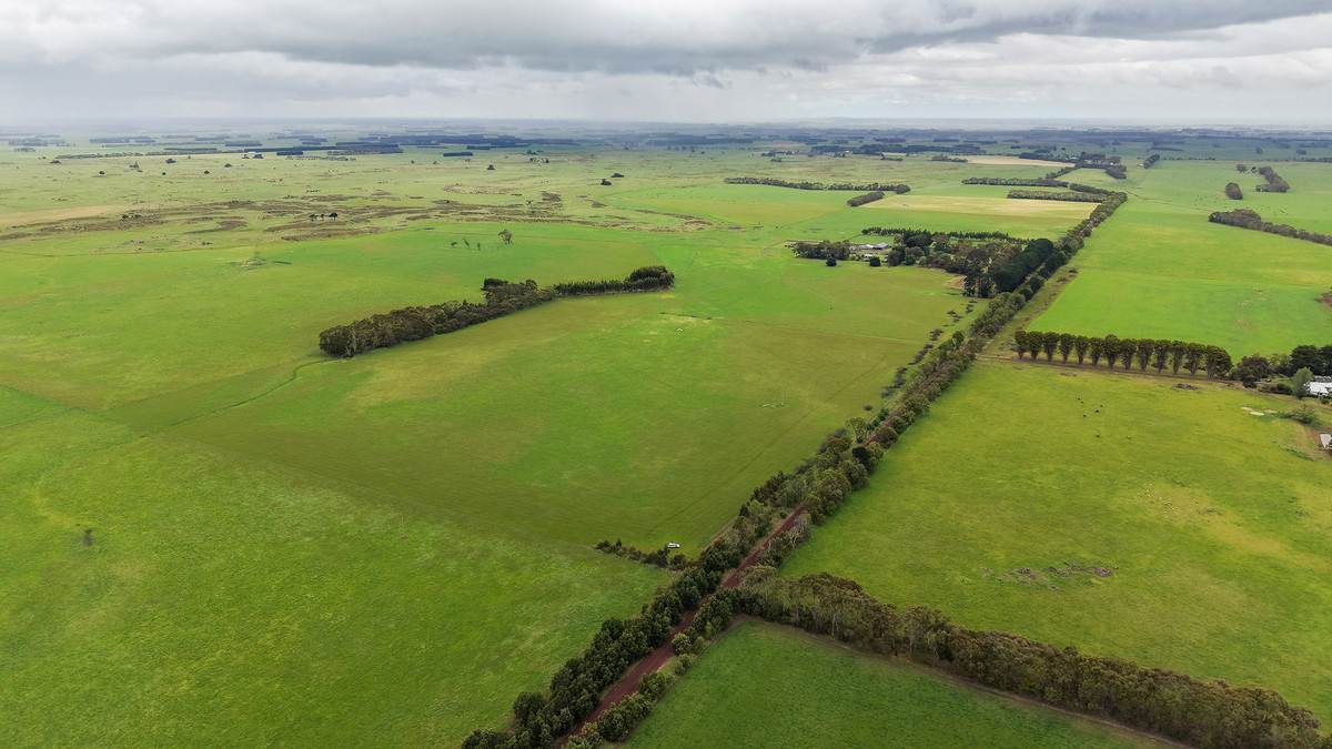 'Moorilah' 318 Jelbarts Road, Gerrigerrup For Sale by Farmbuy.com - image 2