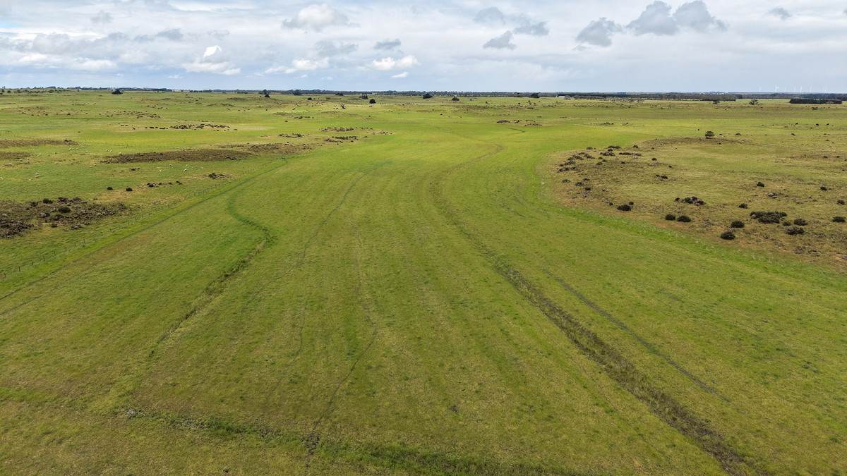 'Moorilah' 318 Jelbarts Road, Gerrigerrup For Sale by Farmbuy.com - image 19