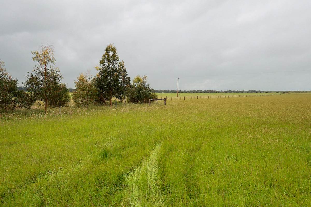 'Moorilah' 318 Jelbarts Road, Gerrigerrup For Sale by Farmbuy.com - image 22
