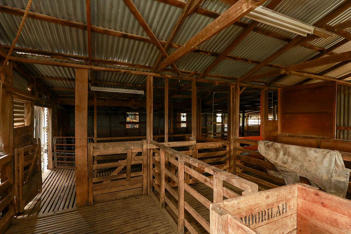 'Moorilah' 318 Jelbarts Road, Gerrigerrup For Sale by Farmbuy.com - image 26