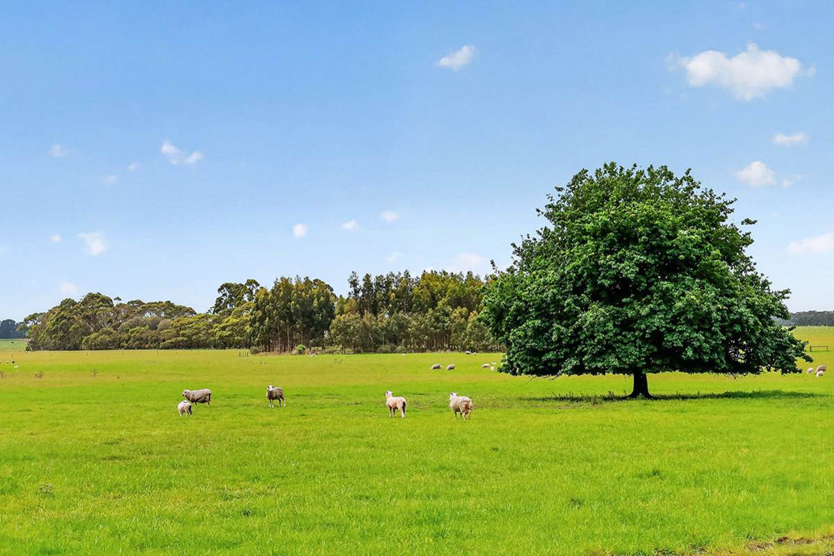 'Moorilah' 318 Jelbarts Road, Gerrigerrup For Sale by Farmbuy.com - image 29