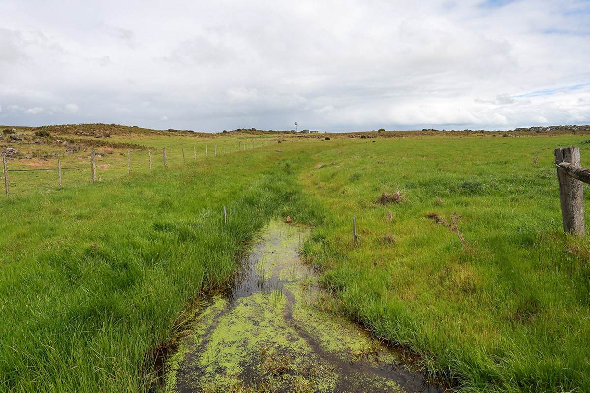 'Moorilah' 318 Jelbarts Road, Gerrigerrup For Sale by Farmbuy.com - image 15