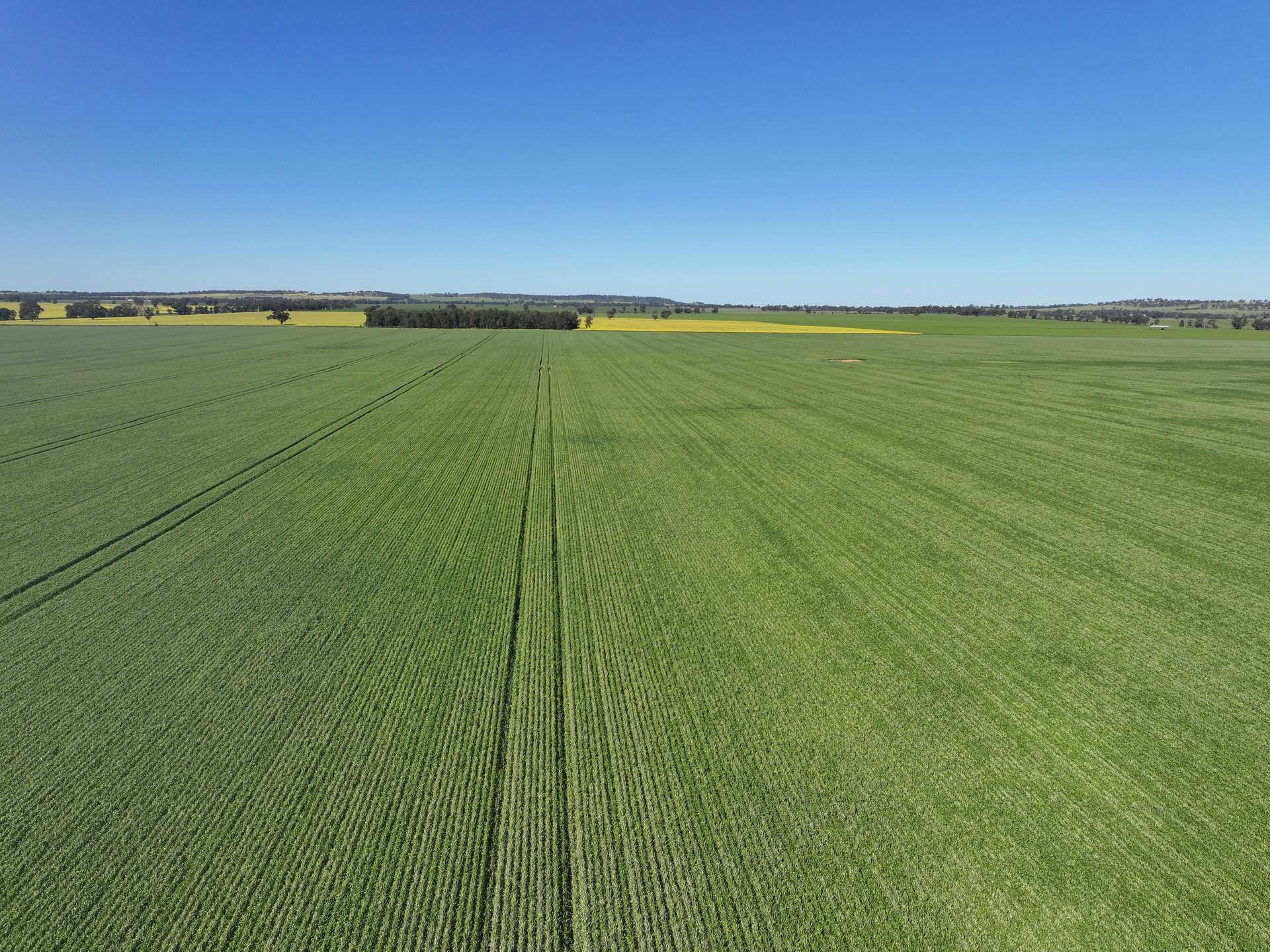 759 Lesterfield Lane, Coolamon For Sale by Farmbuy.com - image 7