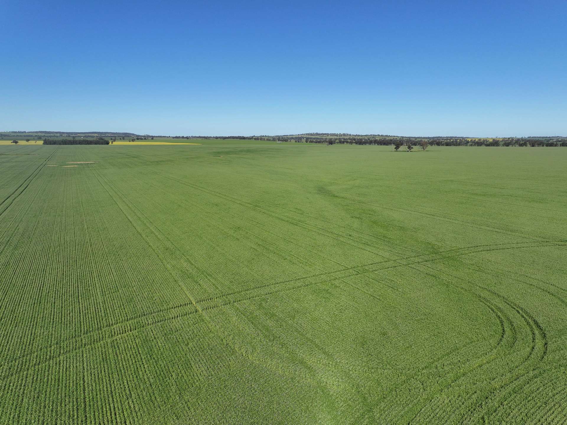 759 Lesterfield Lane, Coolamon For Sale by Farmbuy.com - image 4