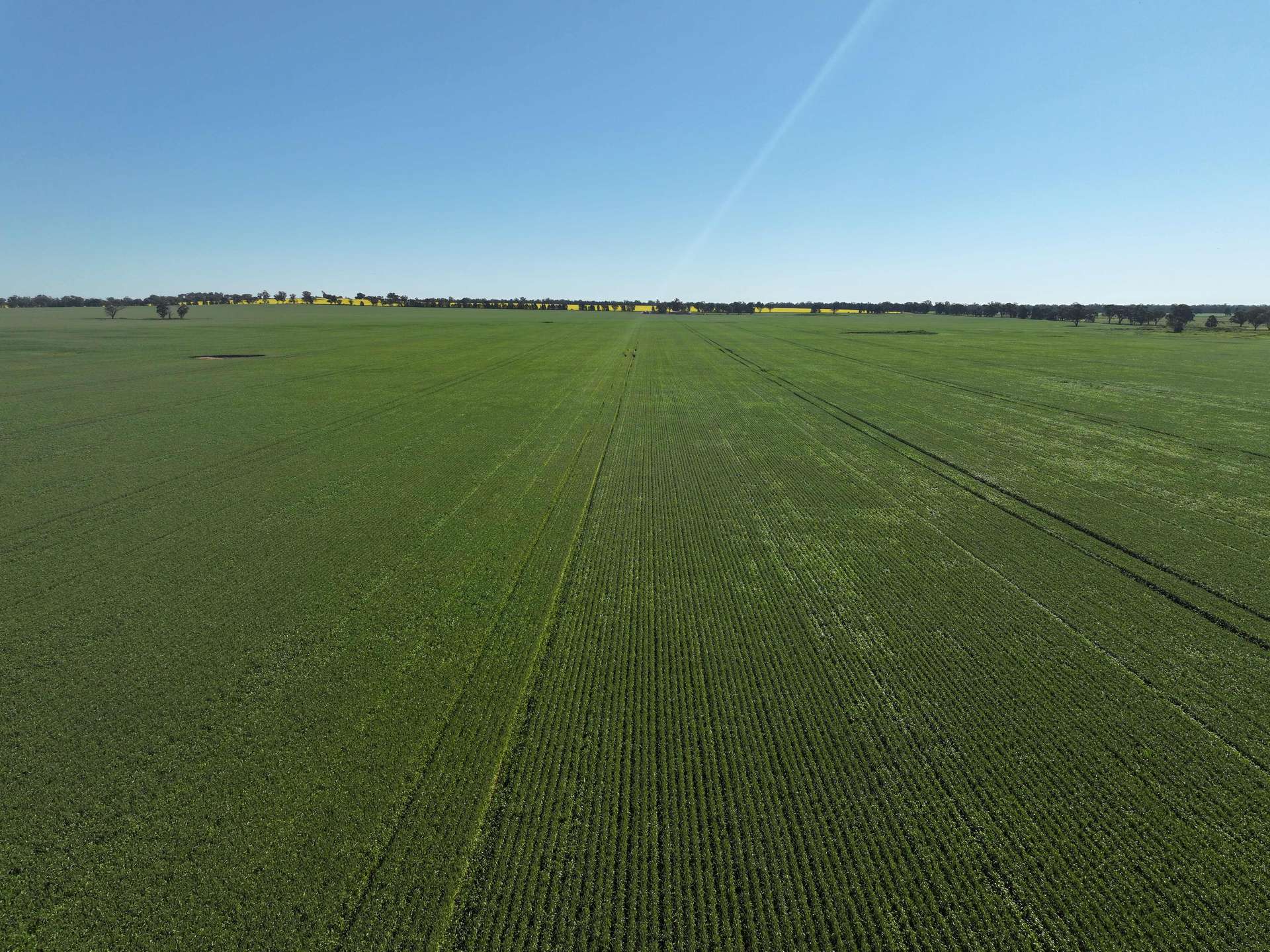 759 Lesterfield Lane, Coolamon For Sale by Farmbuy.com - image 8