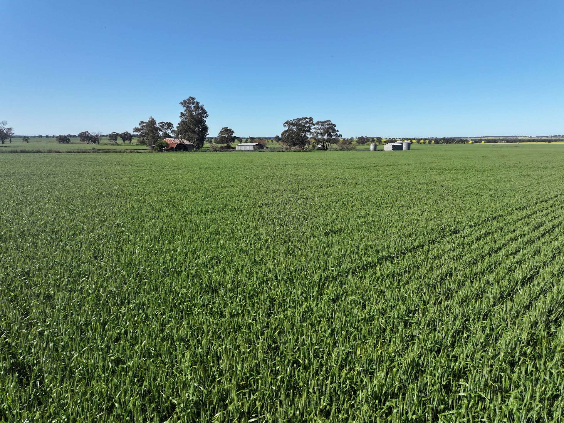 759 Lesterfield Lane, Coolamon For Sale by Farmbuy.com - image 2