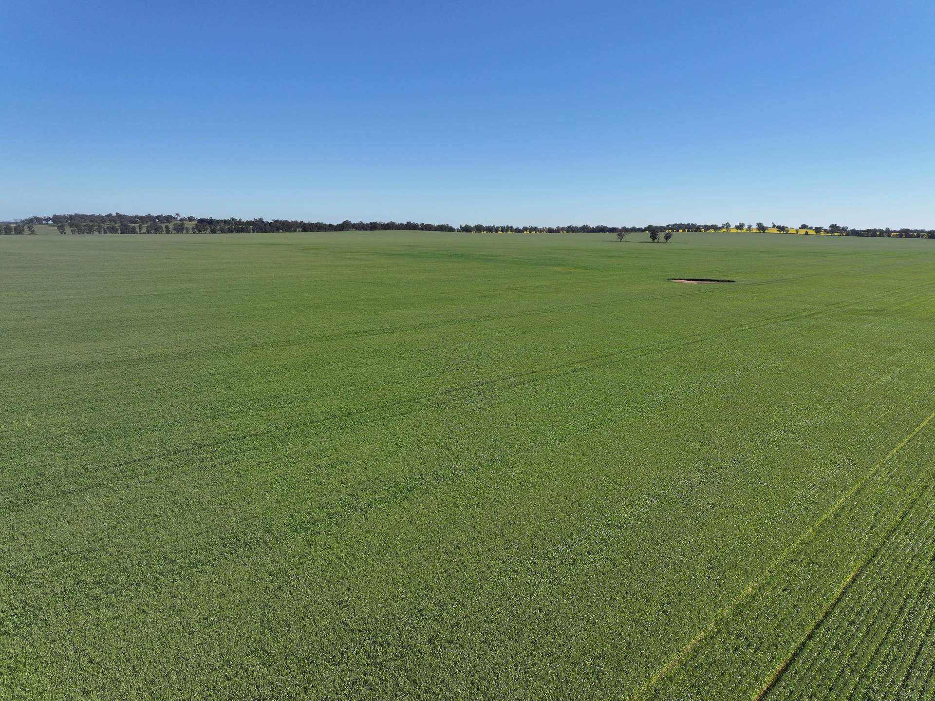 759 Lesterfield Lane, Coolamon For Sale by Farmbuy.com - image 9