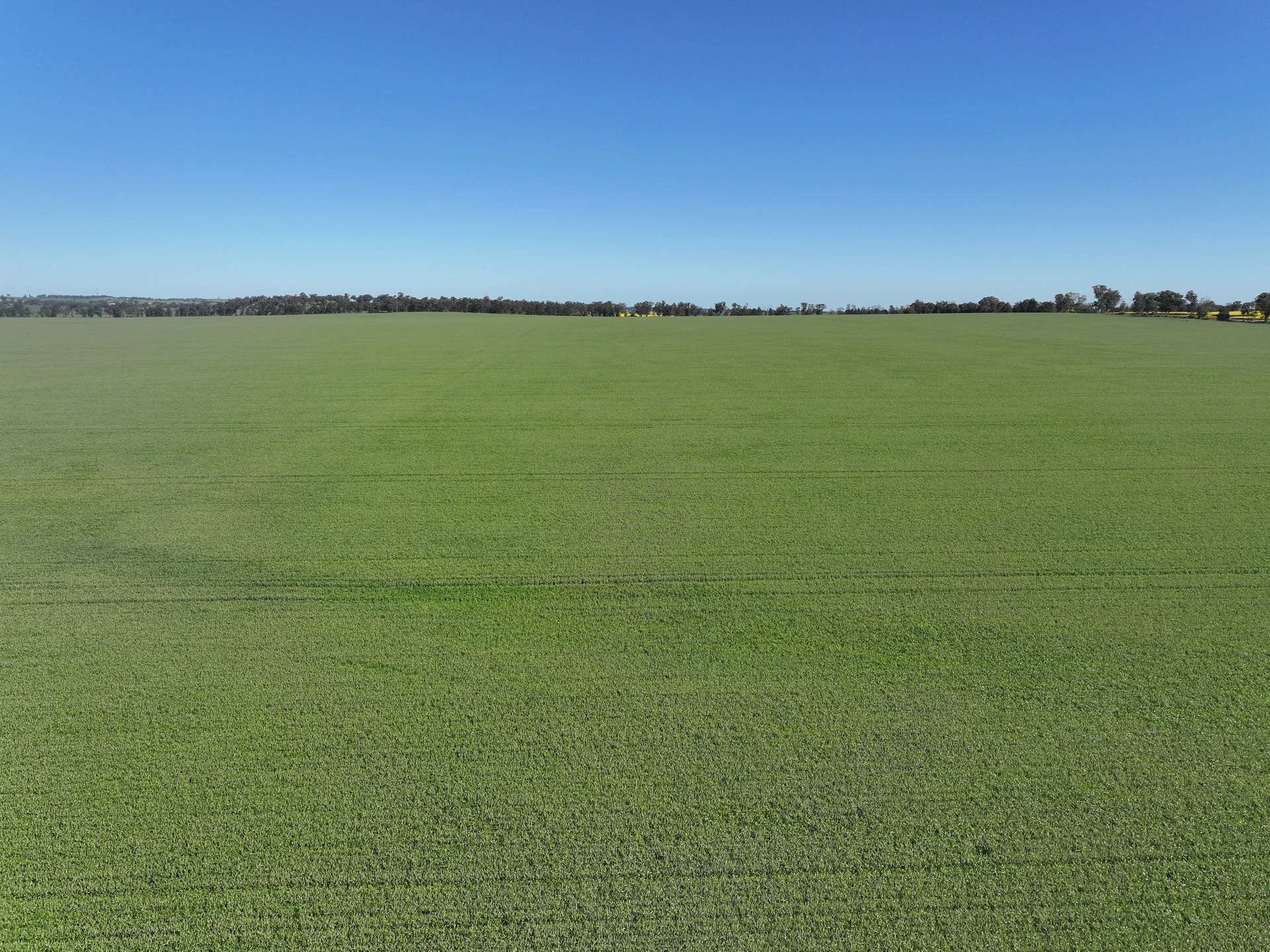 759 Lesterfield Lane, Coolamon For Sale by Farmbuy.com - image 5