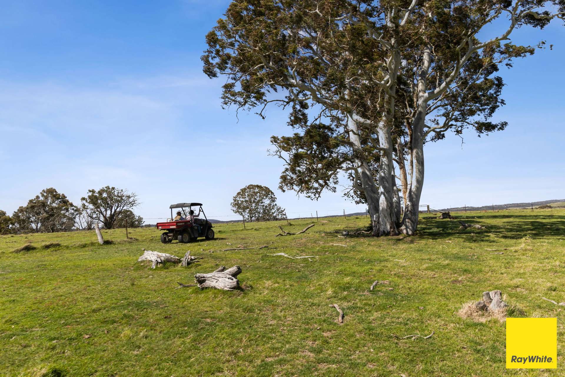 115 Goulburn Road, Mulloon For Sale by Farmbuy.com - image 9