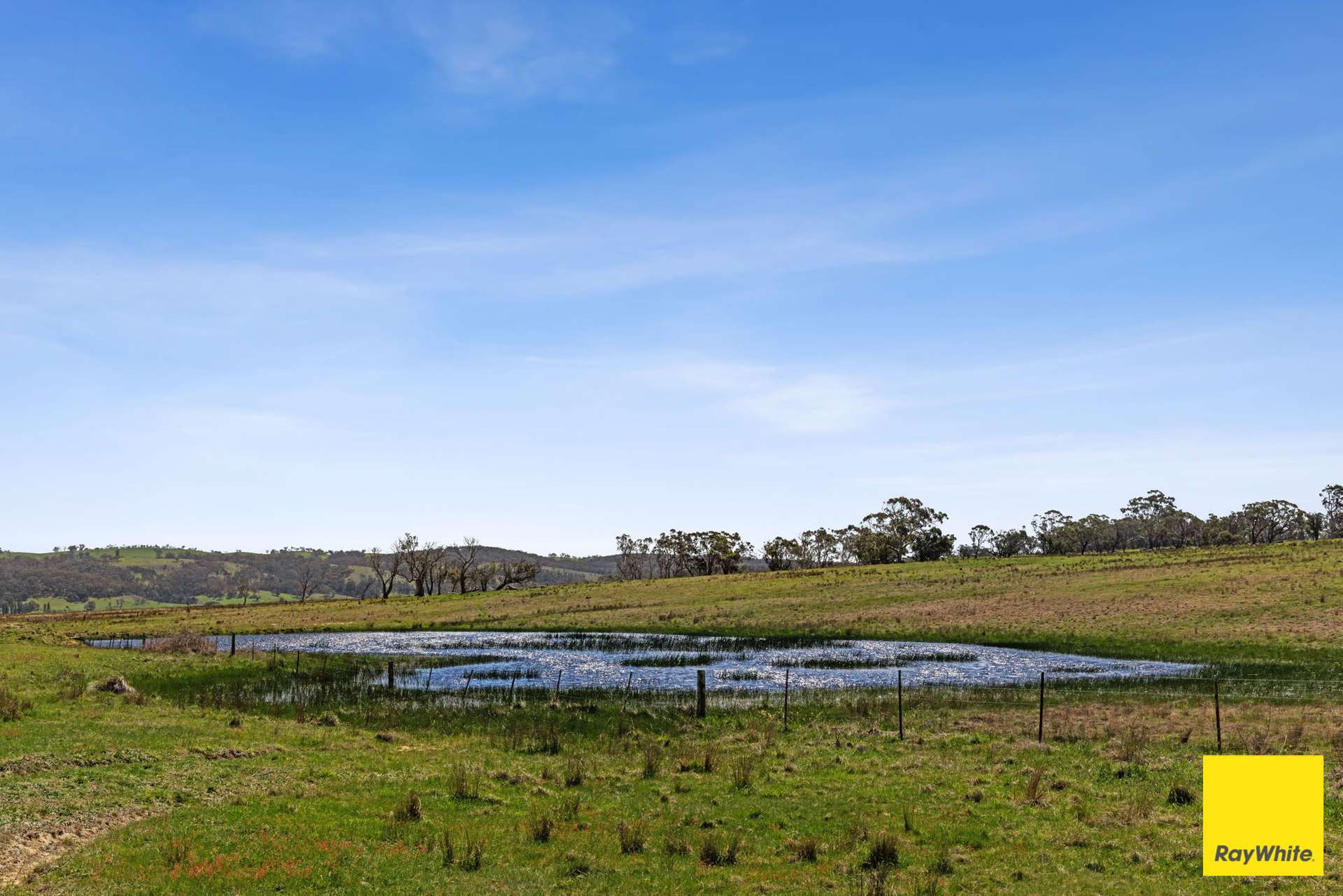 115 Goulburn Road, Mulloon For Sale by Farmbuy.com - image 8