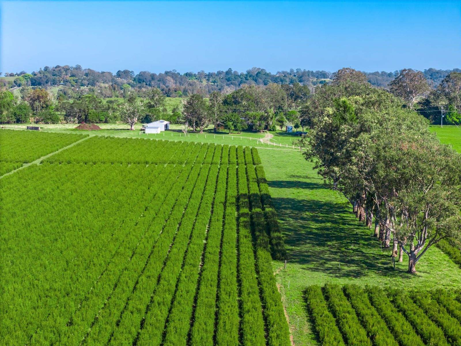 177B Munro Wharf Road, Tucki Tucki For Sale by Farmbuy.com - image 20