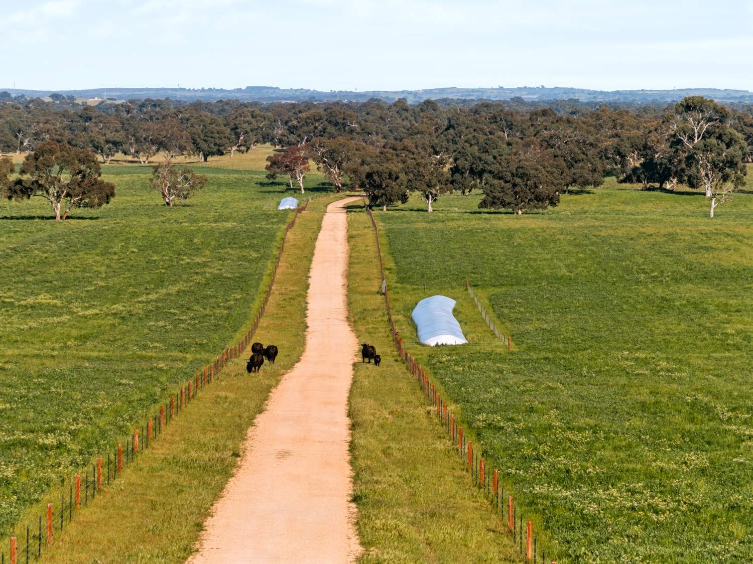'Coonaburra Gums' Dukes Highway, Culburra Auction by Farmbuy.com - image 11