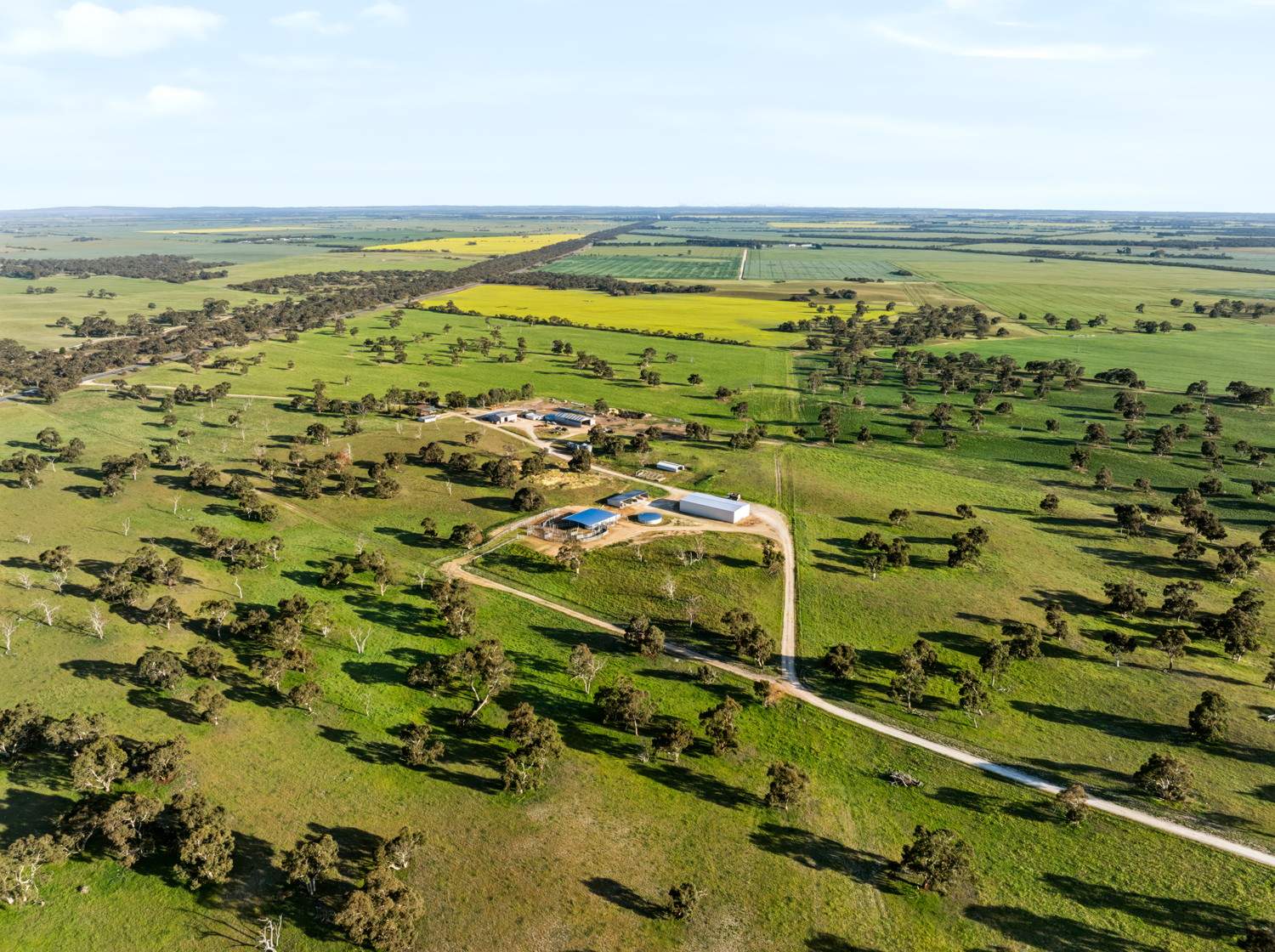 'Coonaburra Gums' Dukes Highway, Culburra Auction by Farmbuy.com - image 1