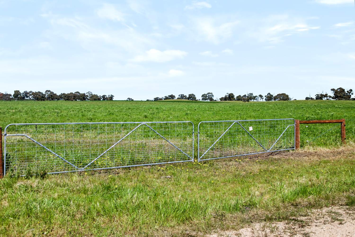 'Coonaburra Gums' Dukes Highway, Culburra Auction by Farmbuy.com - image 21