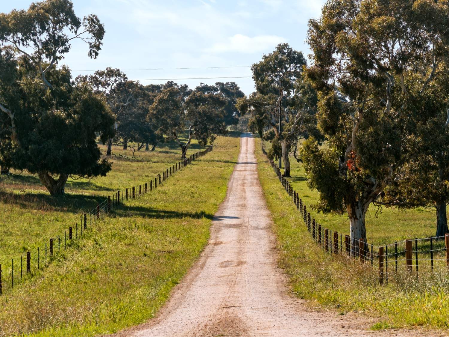 'Coonaburra Gums' Dukes Highway, Culburra Auction by Farmbuy.com - image 14