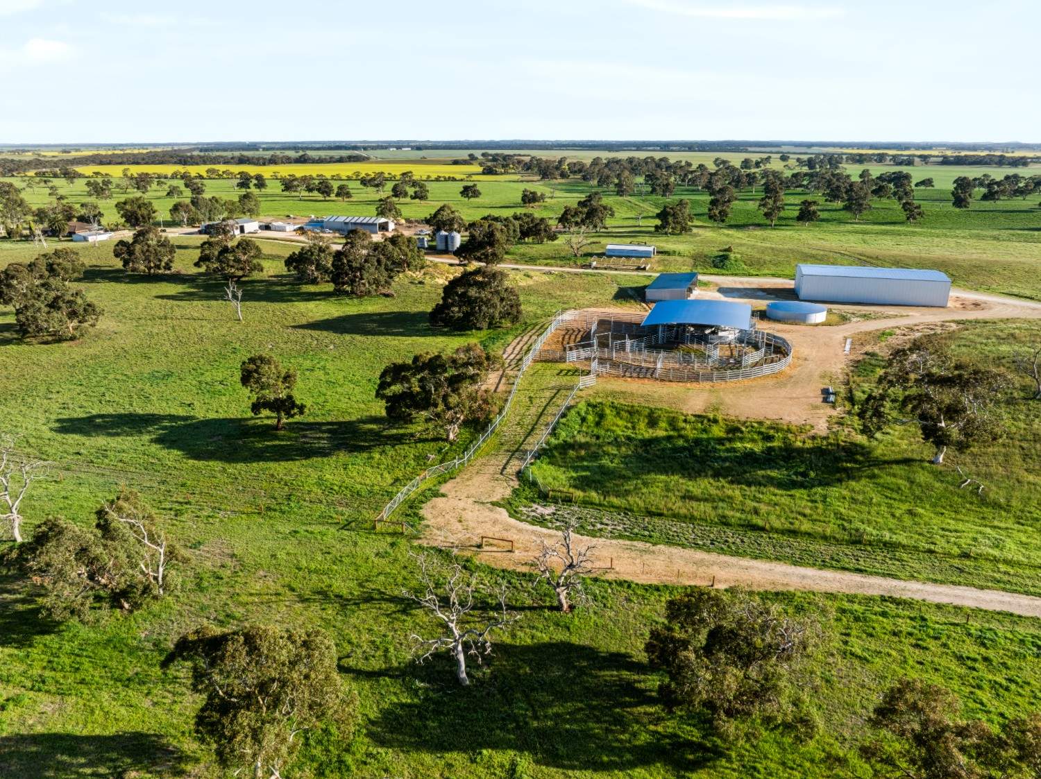 'Coonaburra Gums' Dukes Highway, Culburra Auction by Farmbuy.com - image 6