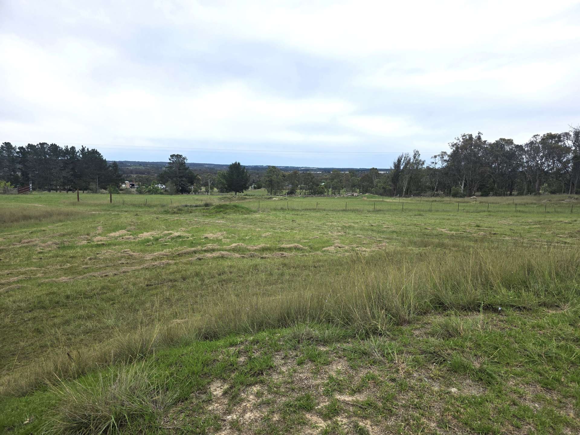 163 Matthews Lane, The Summit For Sale by Farmbuy.com - image 24
