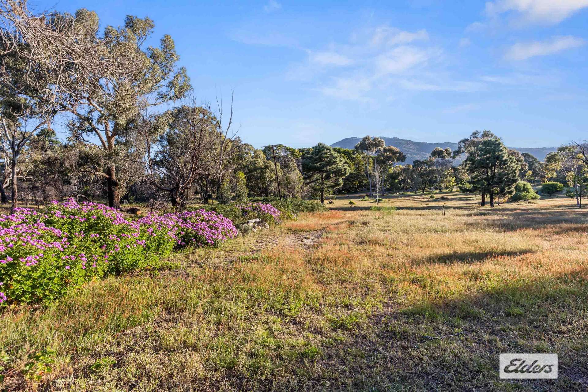9 Church Road, Pomonal For Sale by Farmbuy.com - image 11