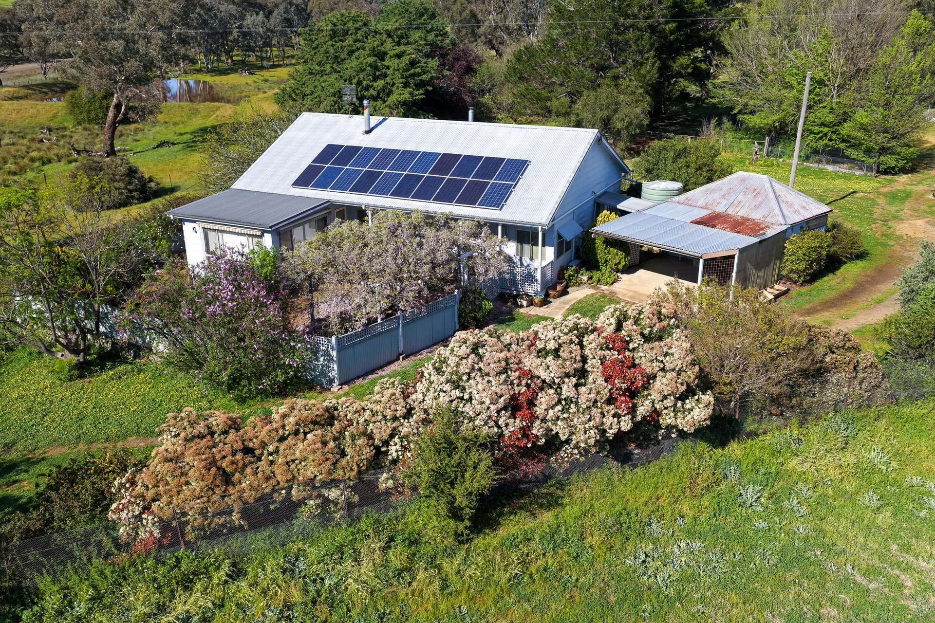 1119 Rugby Road, Boorowa For Sale by Farmbuy.com - image 25