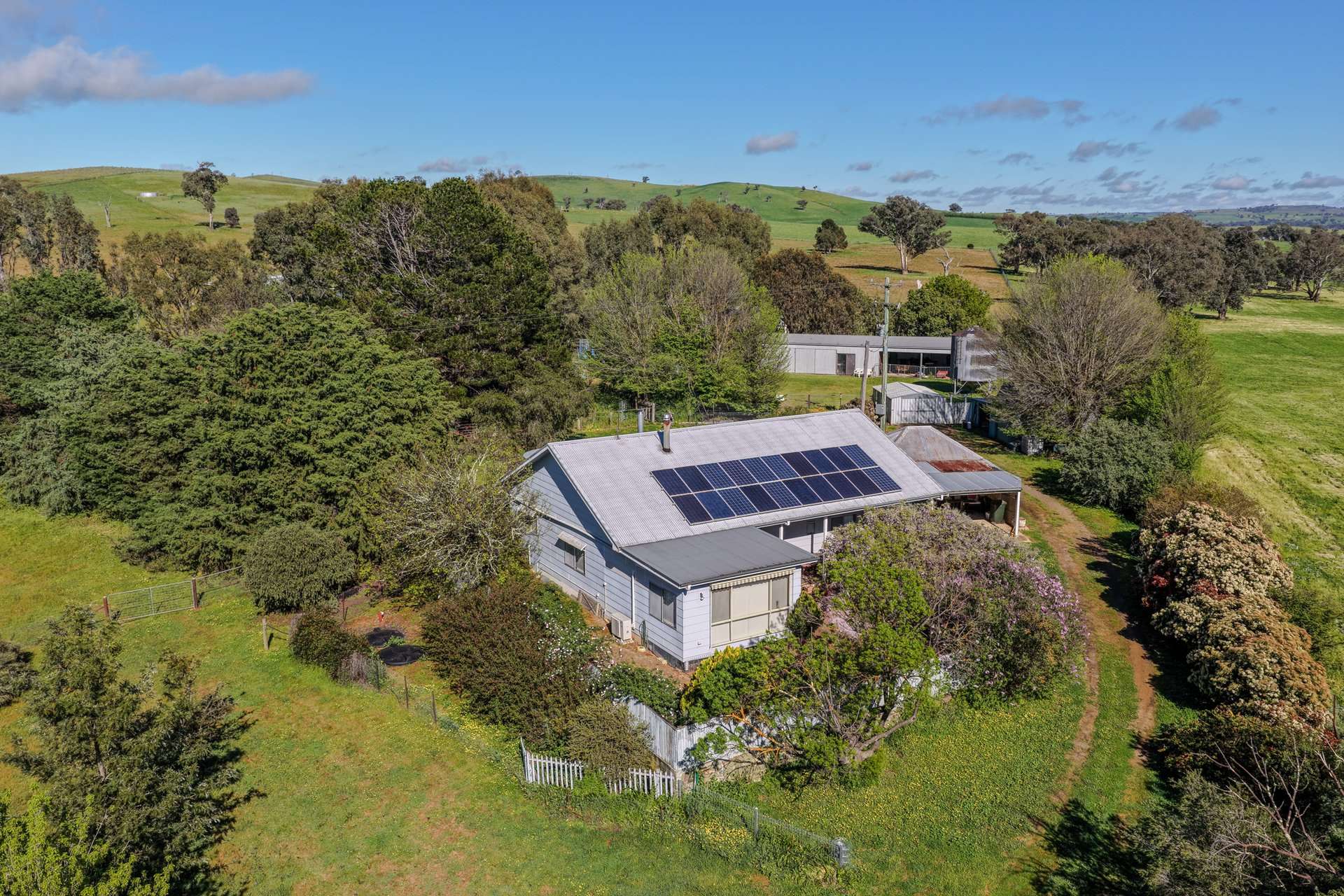 1119 Rugby Road, Boorowa For Sale by Farmbuy.com - image 5