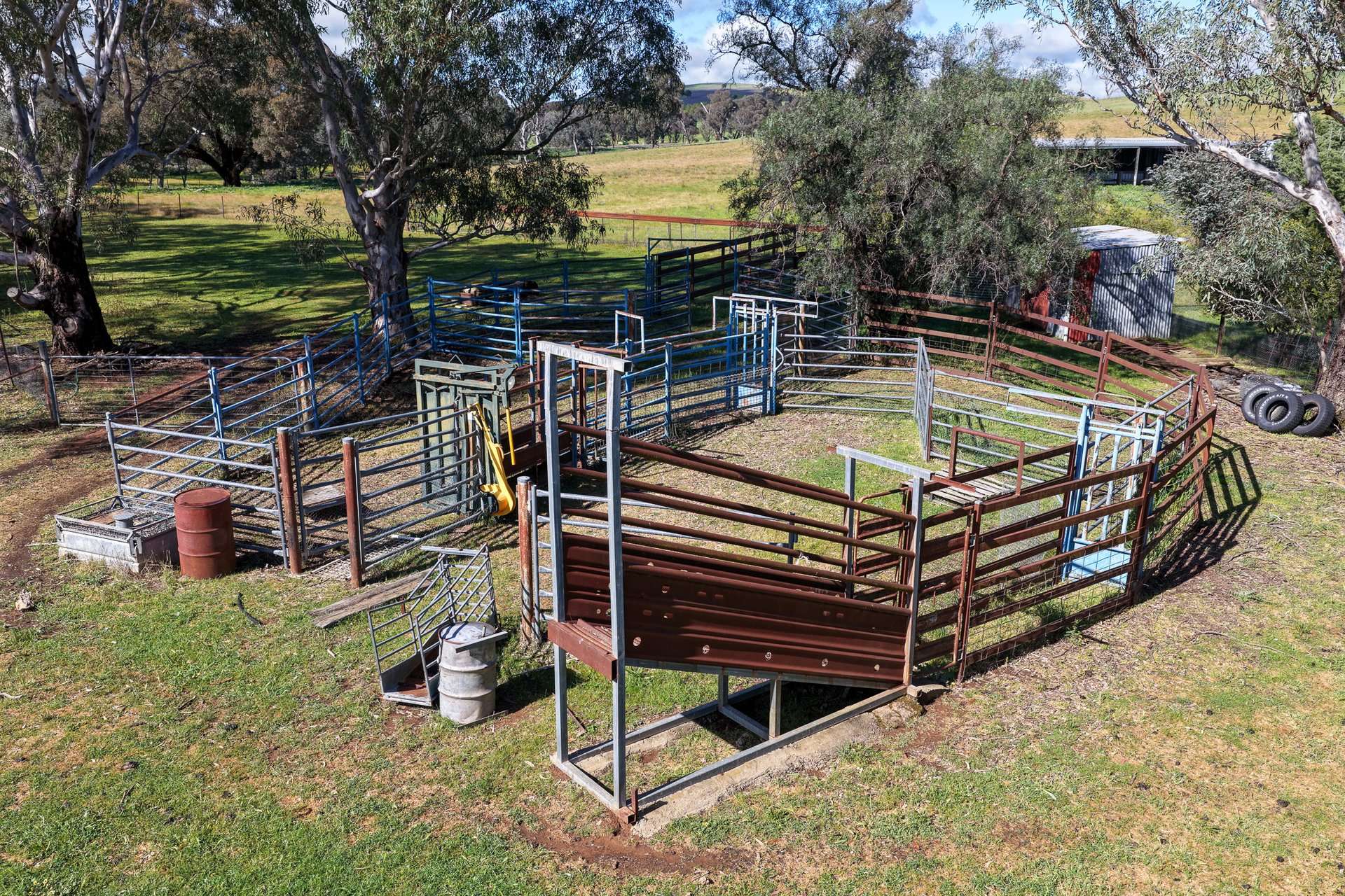 1119 Rugby Road, Boorowa For Sale by Farmbuy.com - image 16